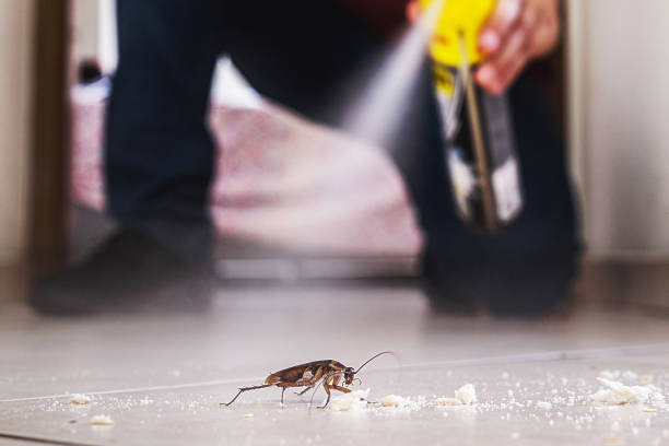 Washington, DC Pest Control Pros