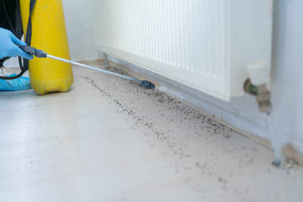 Best Insect Control  in Washington, DC