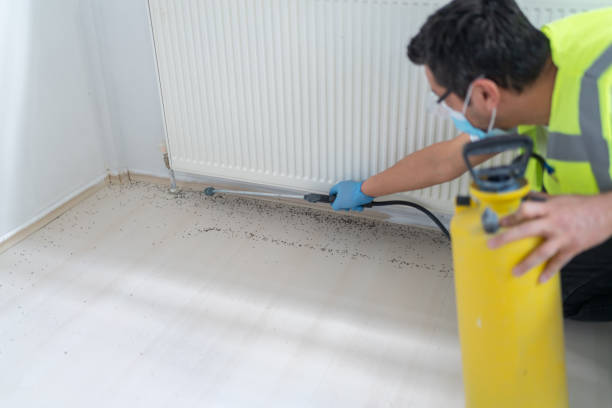 Reliable Washington, DC Pest Control Solutions