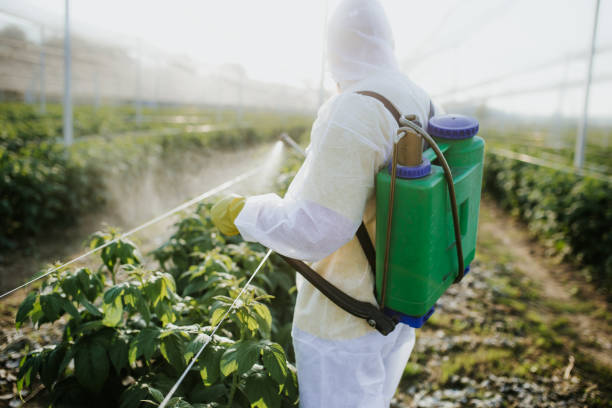 Best Mosquito Control Services  in Washington, DC